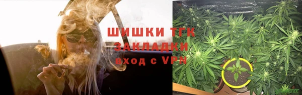 стафф Дмитровск