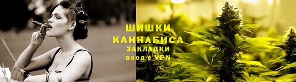 стафф Дмитровск