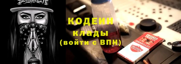 ГАЛЛЮЦИНОГЕННЫЕ ГРИБЫ Дмитриев