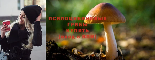 ГАЛЛЮЦИНОГЕННЫЕ ГРИБЫ Дмитриев
