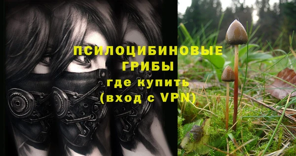 ALPHA-PVP Дмитров
