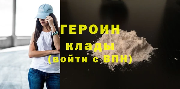 ГАЛЛЮЦИНОГЕННЫЕ ГРИБЫ Дмитриев
