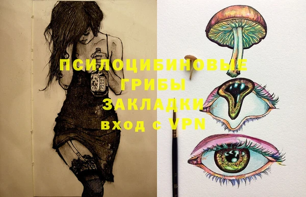 ГАЛЛЮЦИНОГЕННЫЕ ГРИБЫ Дмитриев