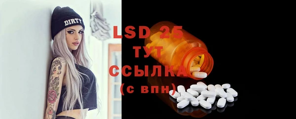 ГАЛЛЮЦИНОГЕННЫЕ ГРИБЫ Дмитриев
