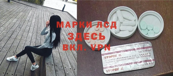ГАЛЛЮЦИНОГЕННЫЕ ГРИБЫ Дмитриев