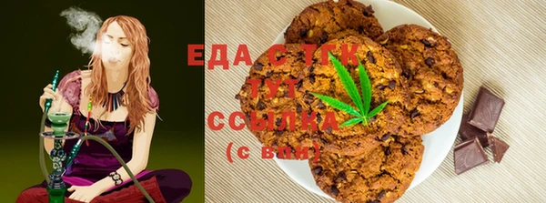 ГАЛЛЮЦИНОГЕННЫЕ ГРИБЫ Дмитриев