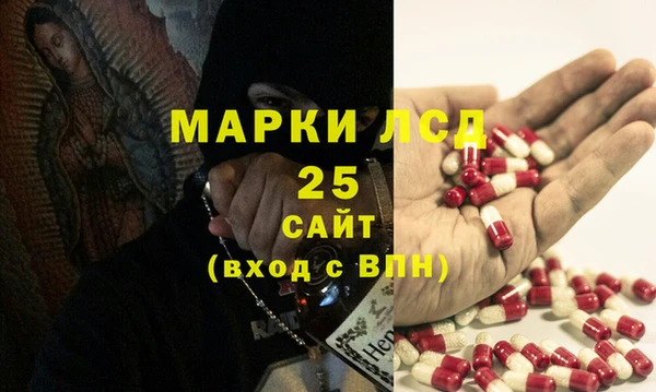 ГАЛЛЮЦИНОГЕННЫЕ ГРИБЫ Дмитриев