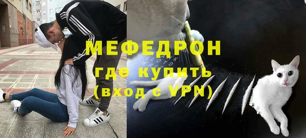 ГАЛЛЮЦИНОГЕННЫЕ ГРИБЫ Дмитриев