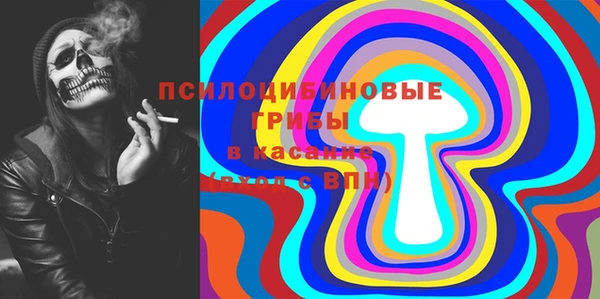 ГАЛЛЮЦИНОГЕННЫЕ ГРИБЫ Дмитриев