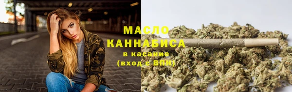 ГАЛЛЮЦИНОГЕННЫЕ ГРИБЫ Дмитриев