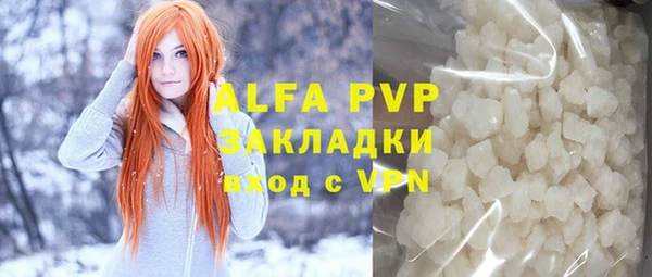 ГАЛЛЮЦИНОГЕННЫЕ ГРИБЫ Дмитриев