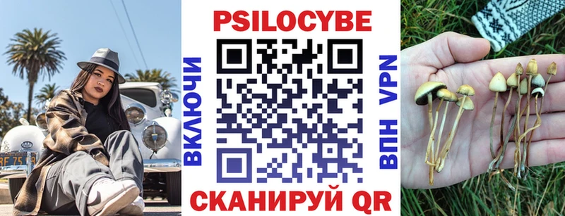 Псилоцибиновые грибы Psilocybine cubensis  Плёс 